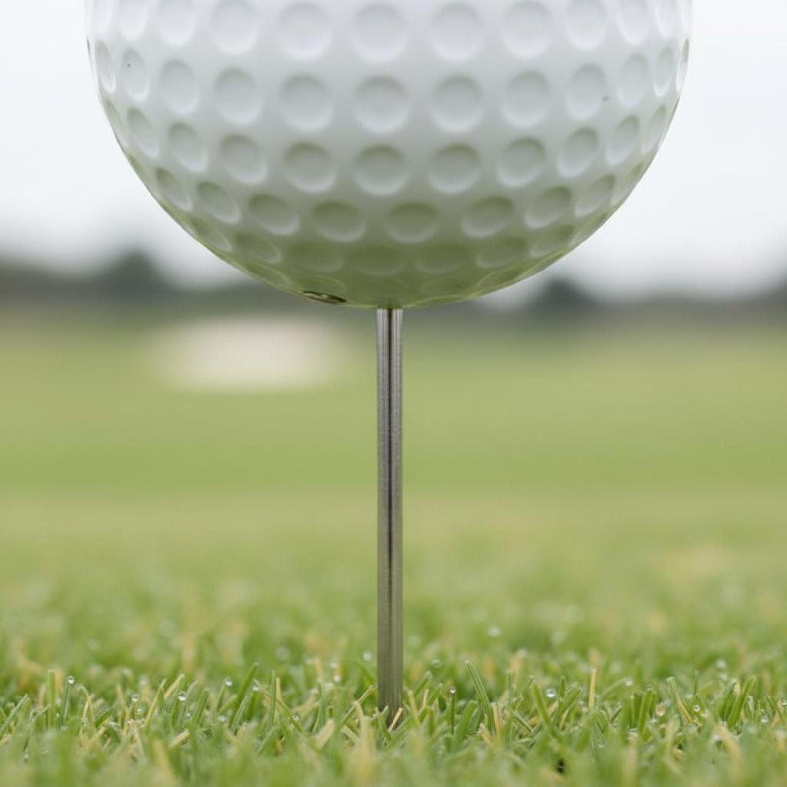 Başlangıç Seviyesi Golf Topu Ş - Golf Tees incelemesi ve fiyatı